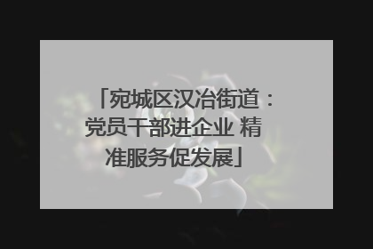 宛城区汉冶街道：党员干部进企业 精准服务促发展