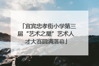 宜宾忠孝街小学第三届“艺术之星”艺术人才大赛圆满落幕