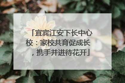 宜宾江安下长中心校：家校共育促成长，携手并进待花开