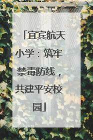 宜宾航天小学：筑牢禁毒防线，共建平安校园