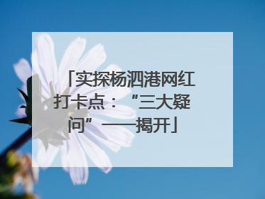 实探杨泗港网红打卡点：“三大疑问”一一揭开