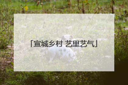 宣城乡村 艺里艺气