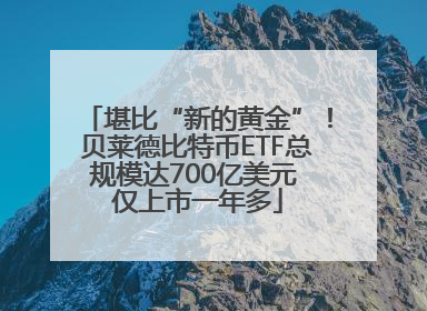 堪比“新的黄金”！贝莱德比特币ETF总规模达700亿美元 仅上市一年多