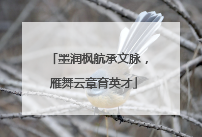墨润枫航承文脉，雁舞云章育英才