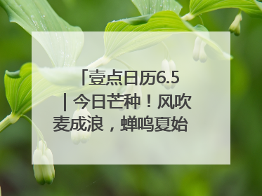 壹点日历6.5｜今日芒种！风吹麦成浪，蝉鸣夏始忙！大家早安