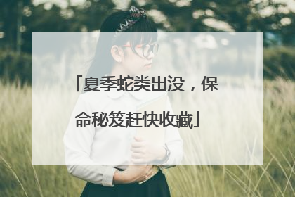 夏季蛇类出没，保命秘笈赶快收藏
