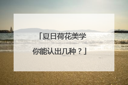 夏日荷花美学 你能认出几种？
