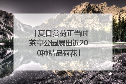 夏日赏荷正当时 茶亭公园展出近200种精品荷花