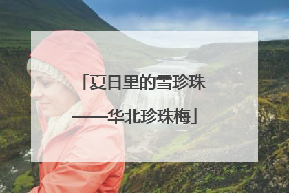 夏日里的雪珍珠——华北珍珠梅