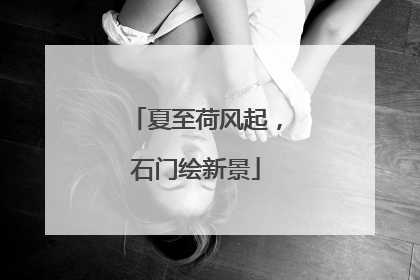 夏至荷风起，石门绘新景