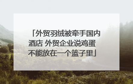 外贸羽绒被牵手国内酒店 外贸企业说鸡蛋不能放在一个篮子里