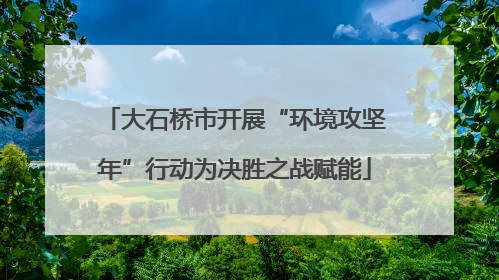 大石桥市开展“环境攻坚年”行动为决胜之战赋能