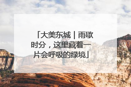 大美东城｜雨歇时分，这里藏着一片会呼吸的绿境