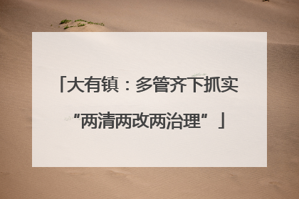 大有镇：多管齐下抓实“两清两改两治理”
