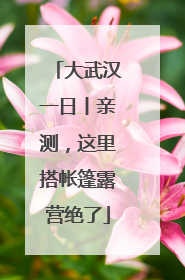 大武汉一日丨亲测，这里搭帐篷露营绝了