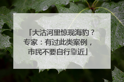 大沽河里惊现海豹？专家：有过此类案例，市民不要自行靠近