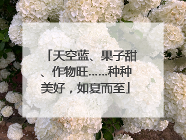 天空蓝、果子甜、作物旺……种种美好，如夏而至