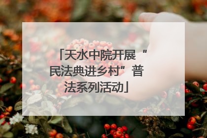 天水中院开展“民法典进乡村”普法系列活动