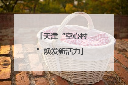 天津“空心村”焕发新活力