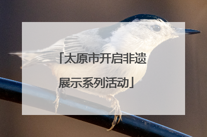 太原市开启非遗展示系列活动