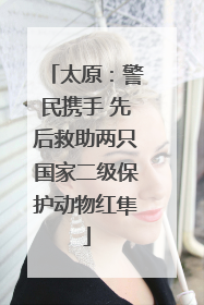 太原：警民携手 先后救助两只国家二级保护动物红隼