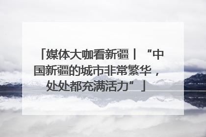 媒体大咖看新疆丨“中国新疆的城市非常繁华，处处都充满活力”