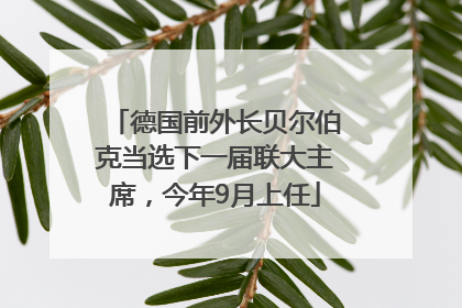 德国前外长贝尔伯克当选下一届联大主席，今年9月上任