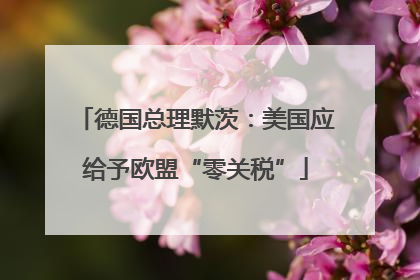 德国总理默茨：美国应给予欧盟“零关税”