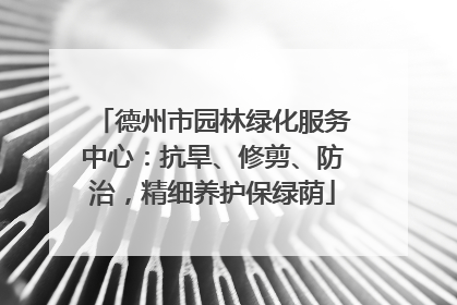 德州市园林绿化服务中心：抗旱、修剪、防治，精细养护保绿荫