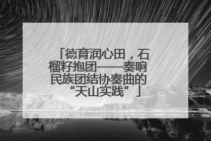 德育润心田,石榴籽抱团——奏响民族团结协奏曲的“天山实践”