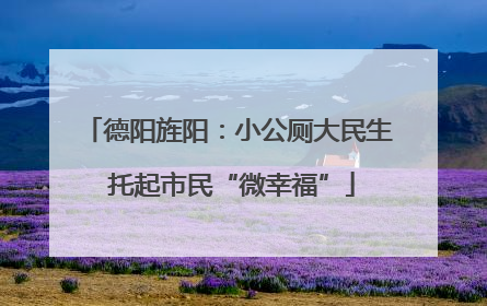 德阳旌阳：小公厕大民生 托起市民“微幸福”