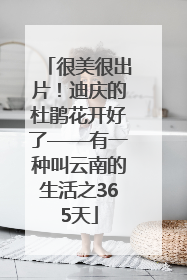 很美很出片！迪庆的杜鹃花开好了——有一种叫云南的生活之365天
