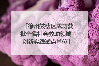 徐州鼓楼区成功获批全省社会救助领域创新实践试点单位