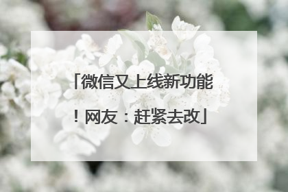 微信又上线新功能！网友：赶紧去改