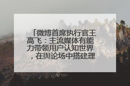 微博首席执行官王高飞：主流媒体有能力带领用户认知世界，在舆论场中搭建理性的讨论空间