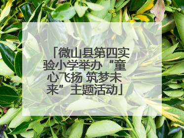 微山县第四实验小学举办“童心飞扬 筑梦未来”主题活动