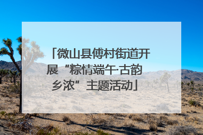 微山县傅村街道开展“粽情端午·古韵乡浓”主题活动
