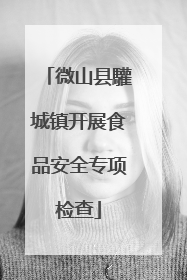 微山县驩城镇开展食品安全专项检查