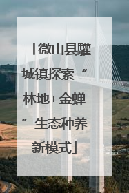 微山县驩城镇探索“林地+金蝉”生态种养新模式