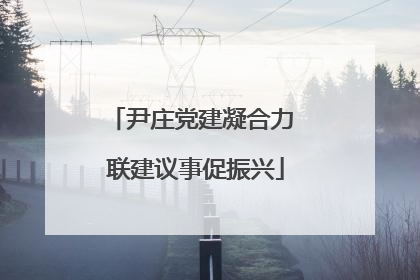 尹庄党建凝合力 联建议事促振兴