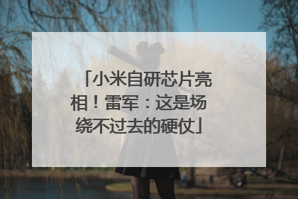 小米自研芯片亮相！雷军：这是场绕不过去的硬仗