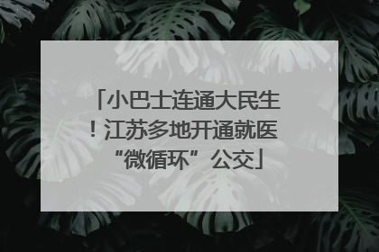 小巴士连通大民生！江苏多地开通就医“微循环”公交