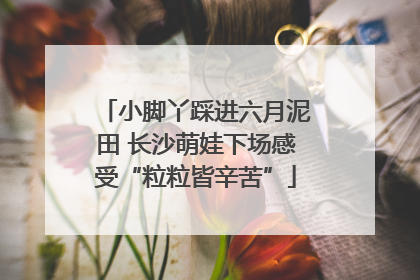 小脚丫踩进六月泥田 长沙萌娃下场感受“粒粒皆辛苦”