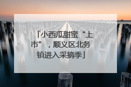 小西瓜甜蜜“上市”，顺义区北务镇进入采摘季