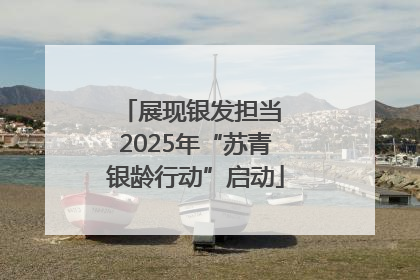 展现银发担当 2025年“苏青银龄行动”启动