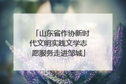 山东省作协新时代文明实践文学志愿服务走进邹城