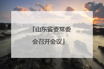 山东省委常委会召开会议