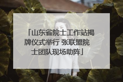 山东省院士工作站揭牌仪式举行 张联盟院士团队现场助阵