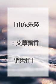 山东乐陵：艾草飘香销售忙
