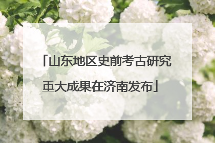 山东地区史前考古研究重大成果在济南发布